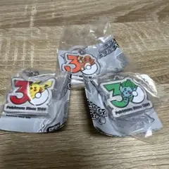 ポケモン 30周年 メタルチャームマスコット　ピカチュウ　フシギダネ　ヒトカゲ