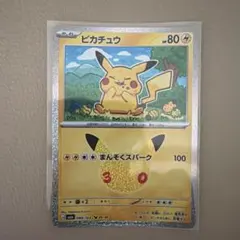 ピカチュウ　30周年　28