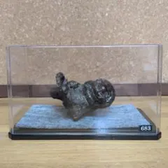 アンモナイト化石(683)
