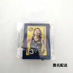 宇都宮ブレックス　2025-26選手ミニチュアアートイーゼル　渡邊裕規選手