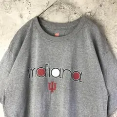 A1991古着　Tシャツ グレー
