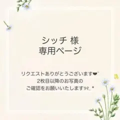 シッチ様 おまとめ2点