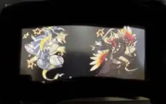 色違い　コライドン　ミライドン