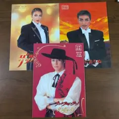 宝塚歌劇 星組公演 パンフレット 1995年 剣と恋と虹と 麻路さき おまけ