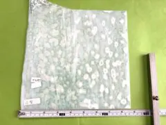 しょうちゃん様専用⭐︎白模様ブルザイと⭐︎ミルヒィオリ3ケース