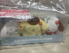 一番くじ　サンリオキャラクターズ当たりくじ　ラストスペシャル賞