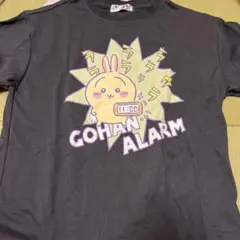 Item thumbnail for item 994161d5-4ca4-4c2a-80a3-c5949edf7b5a