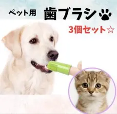 Item thumbnail for item fa00c335-8e3e-44a6-88a5-913056420ba2