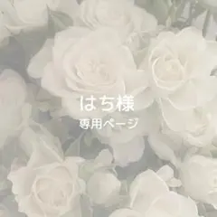 2025年最新】オーダー専用ページの人気アイテム - メルカリ