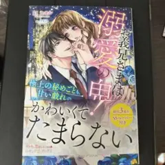 お義兄さまは源愛の罠！