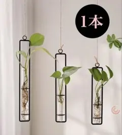 インテリア　観葉植物　 お洒落　雑貨　ハンギングフラワー　ブラック