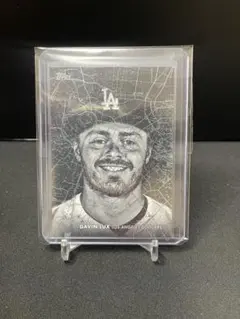 GAVIN LUX ラックス　東京地図インサート