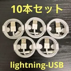 lightning-USBケーブル 1m10本/