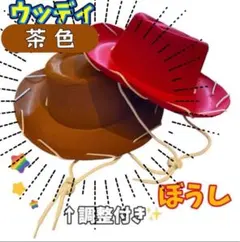 これで完璧❣️ウッディ 帽子 ハット なりきり コスプレ コスチューム ◆g