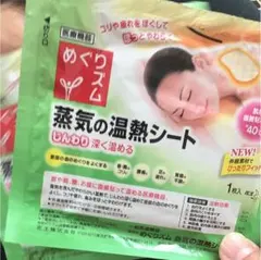 蒸気の温熱シート 2枚 ポイント消化などに！のサムネイル