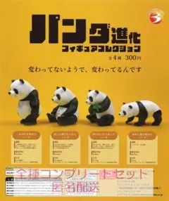 パンダ進化 フィギュアコレクション 全4種コンプリートセット　カプセルトイ