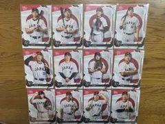 WBCチケット 東京ドーム 日本vsチェコ 使用済チケットSS席2枚 - メルカリ