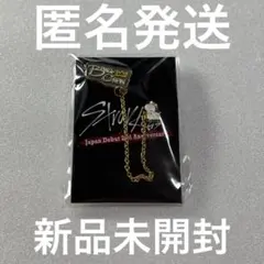 Stray Kids バンチャン チャニドラ チェーン付きピンズ くじ 未開封