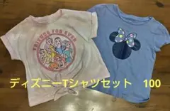 しなもん様 リクエスト 2点 まとめ商品