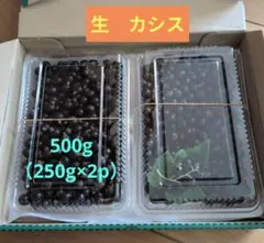 生　カシス　青森から　500g（250g×2p）のサムネイル