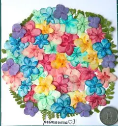 Item thumbnail for item 52d3de92-7d2e-42a0-9f3b-2f6f413e40ac