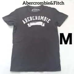 Abercrombie&Fitch メンズ 半袖Tシャツ ロゴ入り M 濃グレー