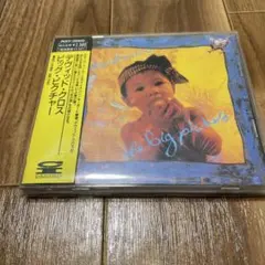 ビッグ・ピクチャー