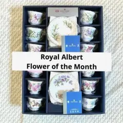 【未使用】ロイヤルアルバートFlower of the Month 11客セット