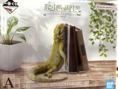 一番くじ 爬虫類＆両生類 Tiny Friends vol.3 A賞