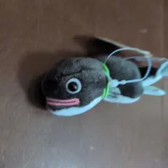 おもしろ　シーワルド　うなぎ