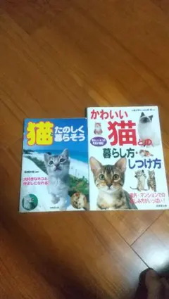 Item thumbnail for item f03080b8-9e05-47eb-941c-a38dceb68c0d