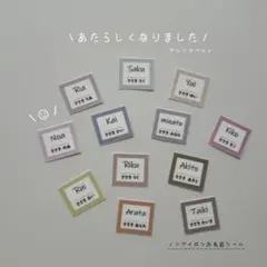 YURIA様　専用　ノンアイロンお名前シール