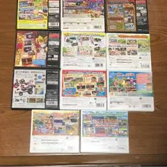 3DS    DS    注意※ケースのみ