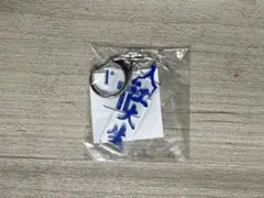 横浜DeNAベイスターズ 入江大生 アクリルネームキーホルダー