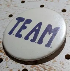 USビンテージ　TEAM　缶バッジ