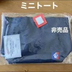 Item thumbnail for item a487b947-9dc4-4690-bebd-a4e338f91080