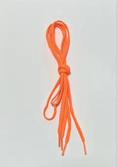 Item thumbnail for item 120e9311-85d1-477f-a6cb-e30e0caedc33