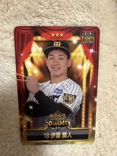 【未使用】阪神タイガース ブラックダイナマイト　伊原陵人選手　サイズO 阪神タイガース伊原陵人選手TORACOグルメ限定カード - メルカリ