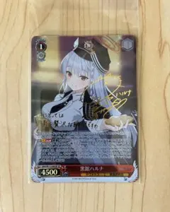 2026年最新】SP ヴァイスシュヴァルツの人気アイテム - メルカリ