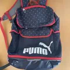 Item thumbnail for item 1350fd72-90a7-4821-a44a-216c3831b68a