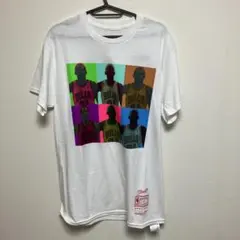 PopArtTeeRodmanBullstシャツシカゴブルズロドマンポップアートのサムネイル