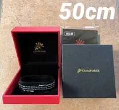 Item thumbnail for item 69f6192f-ab37-4c65-9b5a-4ebd8ab7e554