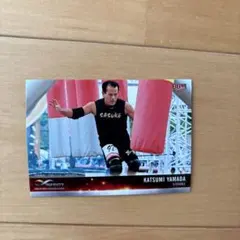BBM 2022 INFINITY 山田勝己 SASUKE トレーディングカードのサムネイル