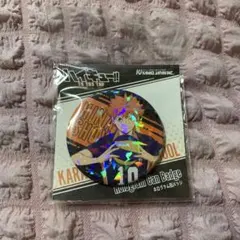 ハイキュー!! 日向翔陽 ホログラム缶バッジ 缶バッチ
