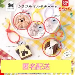 メゾンテリア　カラフルマルチチャーム　スイーツ マスコット　ガチャガチャ