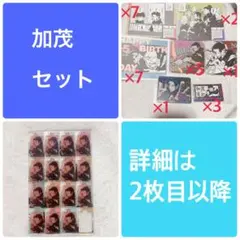 呪術廻戦　加茂