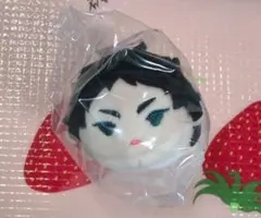 ハイキュー　もちマス　Vol.5　赤葦