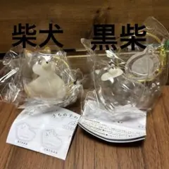 うちの子けだまだま　犬　柴犬&黒柴