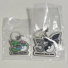 【オークション】ポケモン 30周年 メタルチャームマスコット 2種セット