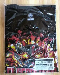 格闘技 Tシャツ